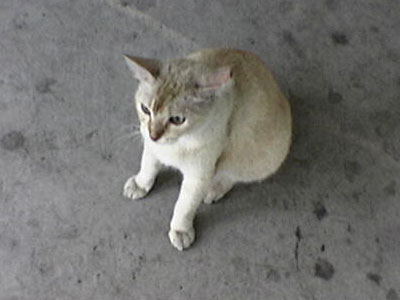 29052004_img2