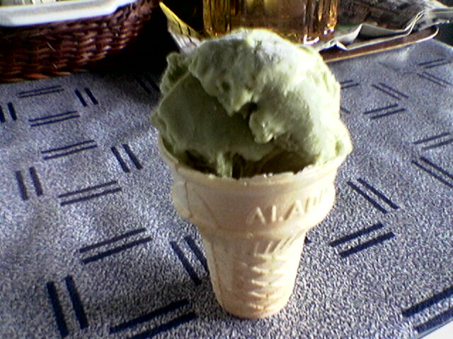 20072004_img1